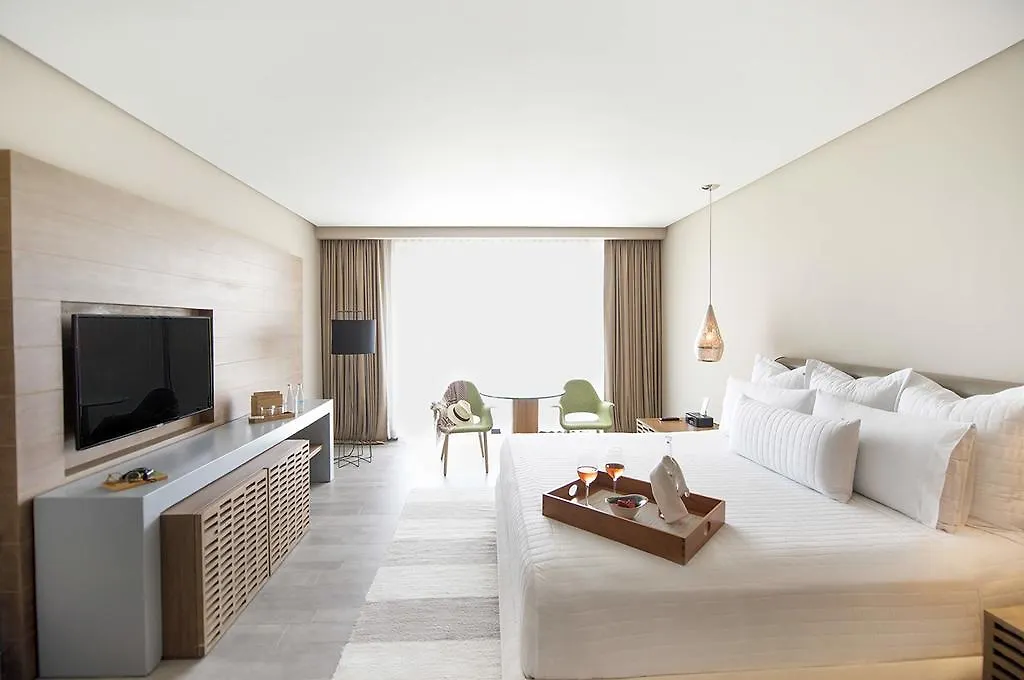 Hotel The Yucatan Playa Del Carmen, Adults Only, Tapestry Collection By Hilton